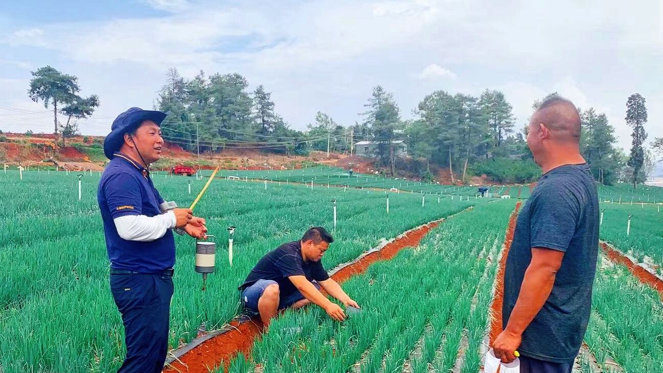 “田长制”：守住粮食生产命根子